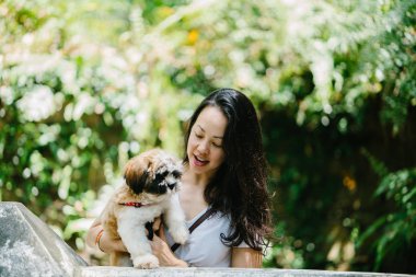 Parkta onun shih tzuh köpek olan bir genç, çekici pan Asya kadın portresi. Onlar ortasında bir yürüyüş ve neşeli ve rahat görünüyorlar.