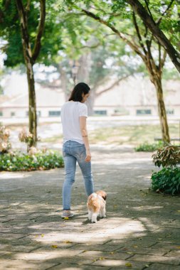 Onun genç shih tzuh yavru köpek park ile gün içinde oturan genç Pan Asya kadın portresi. Gülümsüyor ve her ikisi de sıcak gün tadını çıkarıyor.