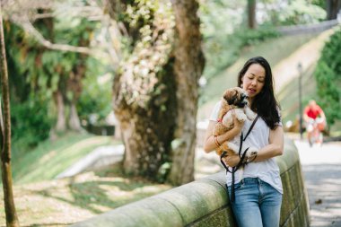 Parkta onun shih tzuh köpek olan bir genç, çekici pan Asya kadın portresi. Onlar ortasında bir yürüyüş ve neşeli ve rahat görünüyorlar.