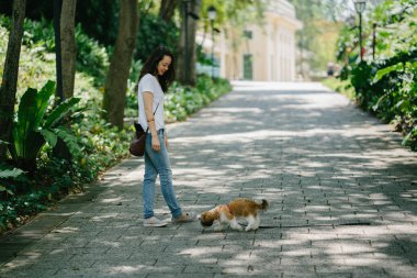 Genç bir Pan Asya kadın ile köpek parkta sıcak bir günde yeşil bir parkta portresi. Köpek oyuncak doğurmak shih tzuh olduğunu.