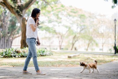Genç bir Pan Asya kadın ile köpek parkta sıcak bir günde yeşil bir parkta portresi. Köpek oyuncak doğurmak shih tzuh olduğunu.