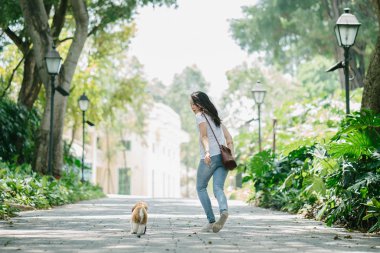 Genç bir Pan Asya kadın ile köpek parkta sıcak bir günde yeşil bir parkta portresi. Köpek oyuncak doğurmak shih tzuh olduğunu.