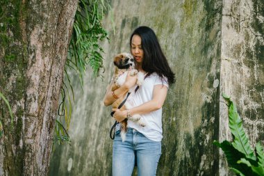 Onun genç shih tzuh yavru köpek park ile gün içinde oturan genç Pan Asya kadın portresi. Gülümsüyor ve her ikisi de sıcak gün tadını çıkarıyor.