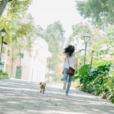 Genç bir Pan Asya kadın ile köpek parkta sıcak bir günde yeşil bir parkta portresi. Köpek oyuncak doğurmak shih tzuh olduğunu.