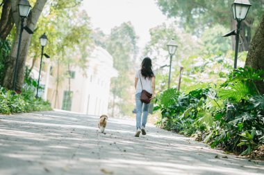 Genç bir Pan Asya kadın ile köpek parkta sıcak bir günde yeşil bir parkta portresi. Köpek oyuncak doğurmak shih tzuh olduğunu.