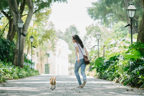 Portrait of a young Pan Asian woman with dog in a green park on a warm day in the park. The dog is a toy breed shih tzuh.