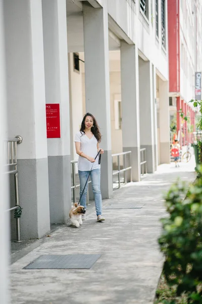 Pan Asian woman walks her shih tzuh puppy dog in the streets on a sunny day on the weekend in Asia.
