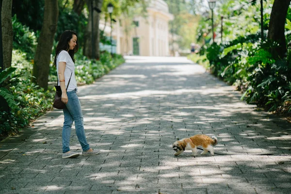 Genç bir Pan Asya kadın ile köpek parkta sıcak bir günde yeşil bir parkta portresi. Köpek oyuncak doğurmak shih tzuh olduğunu.