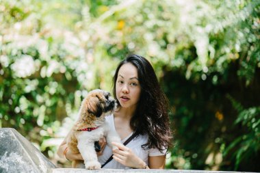 Parkta onun shih tzuh köpek olan bir genç, çekici pan Asya kadın portresi. Onlar ortasında bir yürüyüş ve neşeli ve rahat görünüyorlar.