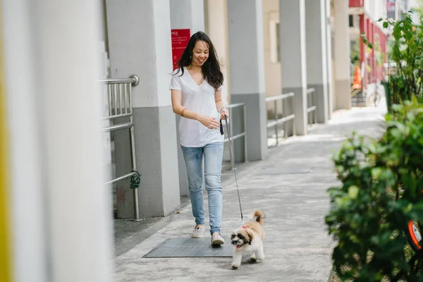 Pan Asian woman walks her shih tzuh puppy dog in the streets on a sunny day on the weekend in Asia.