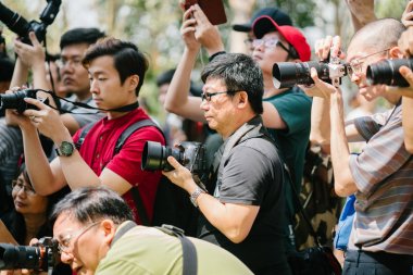 Singapur, Mart 2018: fotoğrafçılar fotoğraf çekmek için Sakuta Matsuri çiçek kubbe Singapur Bay bahçelerle içinde manga ve anime karakter.