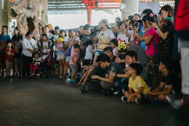 Singapur, Mart 2018: fotoğrafçılar fotoğraf çekmek için Sakuta Matsuri çiçek kubbe Singapur Bay bahçelerle içinde manga ve anime karakter.