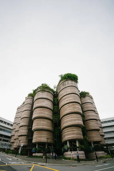 Singapura Março 2018 Arquitetura Distinta Futurista Colmeia Longo Avenida Nanyang — Fotografia de Stock