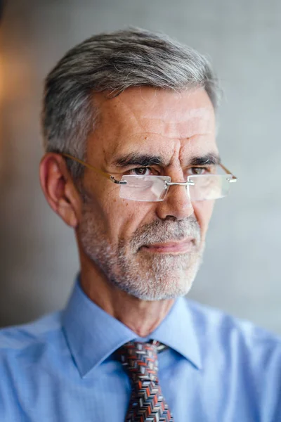 portrait of Senior businessman wearing suit and eyeglasses on wall background