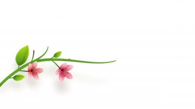 Alpha ile beyaz arka plan üzerinde büyüyen çiçek süsleme