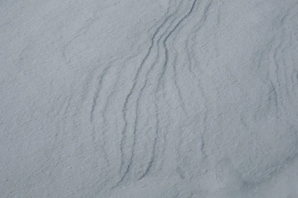 Neve branca, brilhos no sol brilhantemente no inverno — Fotografia de Stock