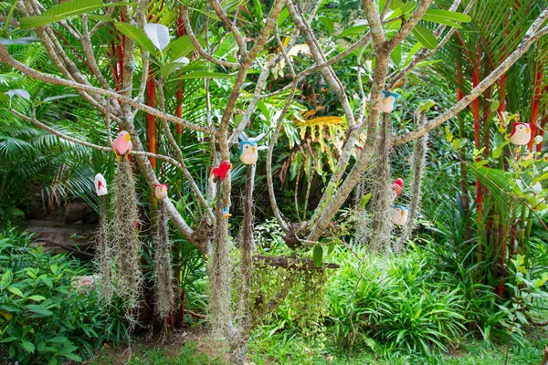 Uccello gioco su albero — Foto Stock