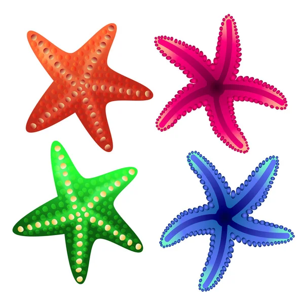 Starfish para decorar cartazes turísticos, banners, folhetos, teias —  Vetores de Stock