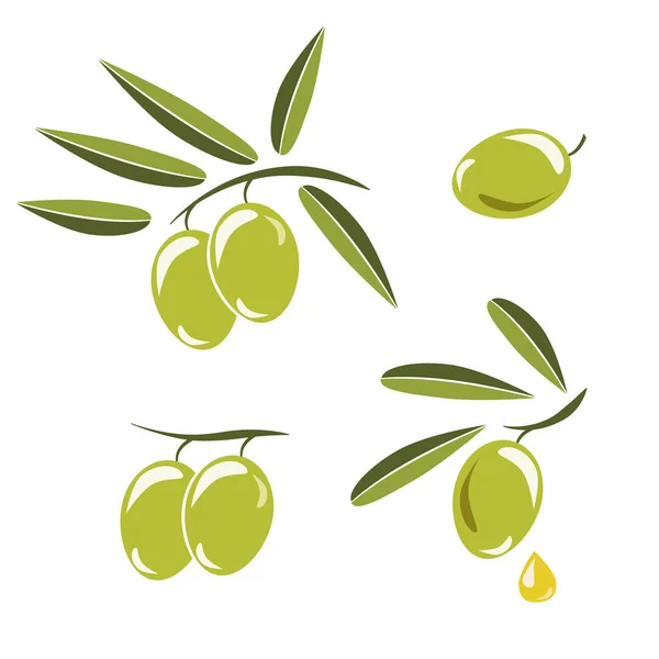 Икона оливок, ветви с зелеными оливками и листьями, чтобы украсить — стоковый вектор