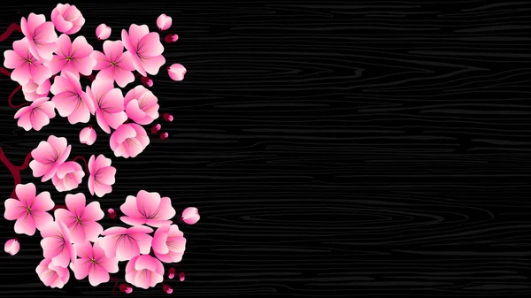 Ramo de flor de cerejeira com flores cor de rosa em uma textura de madeira preta . —  Vetores de Stock