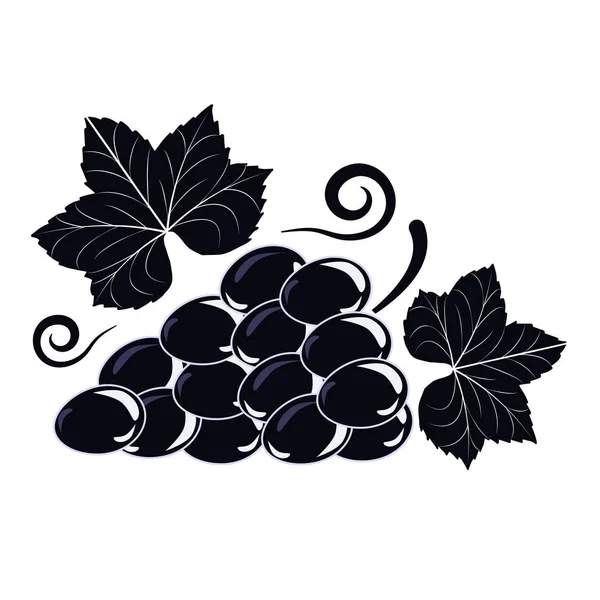 Vector illustration symbol of a Vine with black grapes and leave — Stock Vector