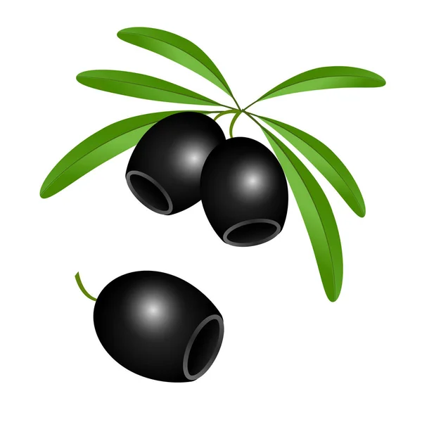 Icône d'olives noires sans fosses sur fond blanc isolé . — Image vectorielle