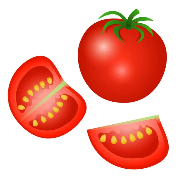 Vector ilustración de un tomate, la mitad de un tomate y una rebanada es — Archivo Imágenes Vectoriales