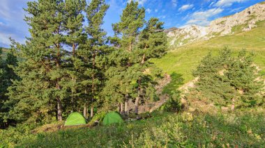iki turist çadır yakınındaki dağlarda ağaçlarda şafakta hazır. Sabah, yaz. Rusya, Adıge, Lago-Naki Yaylası
