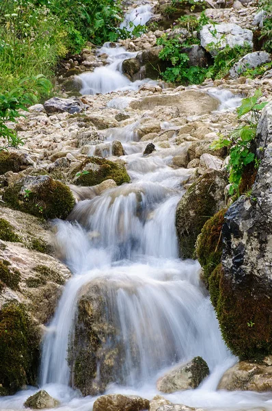 A view of the mountain stream flowing in cool streams along the rocks among the green grass and flowers. Summer, day.