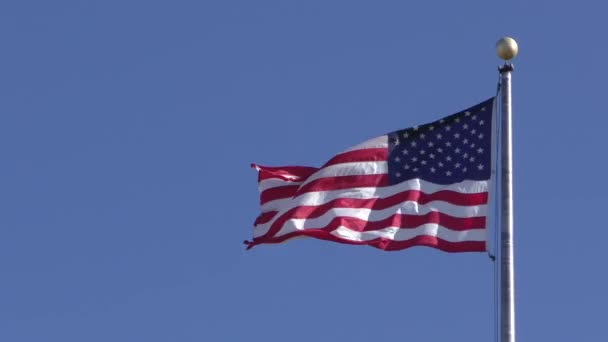Αμερικανική Σημαία Πνέει Στον Άνεμο — Αρχείο Βίντεο