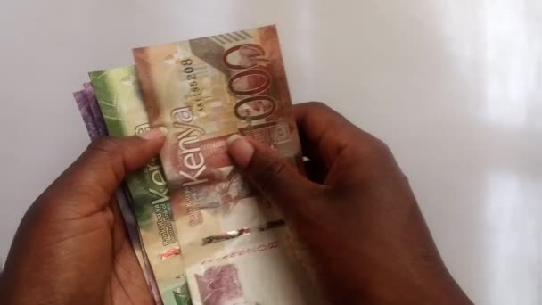 肯尼亚手头上的白色录像记录了不同的肯尼亚钞票 在肯尼亚内罗毕举行 原因是该国产生了新货币 多样性 — 图库视频影像