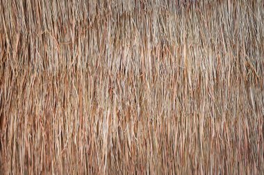 saman veya saman arka plan