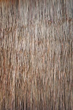 saman veya saman arka plan