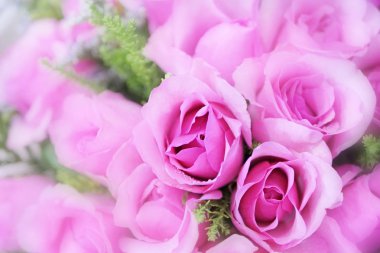 pembe Sevgiliye arka plan gül