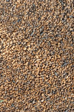 kahverengi çakıl arka plan