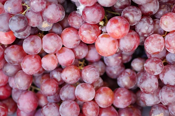 Красный виноград, крупный план — стоковое фото