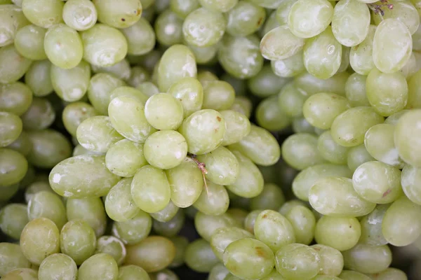 Groene druif, close-up shot — Stockfoto