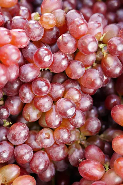 Красный виноград, крупный план — стоковое фото
