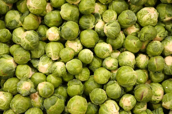 Green brussels sprout — Stock Photo, Image