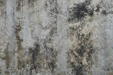 Grunge çimento, beton arka plan