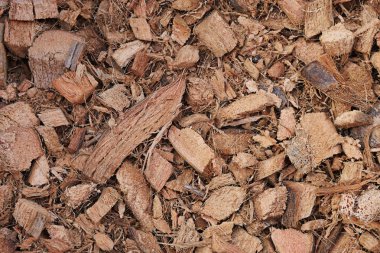 Kuru Hindistan cevizi kabuğu dokulu arka plan