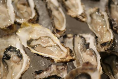 taze istiridye, buz deniz ürünleri