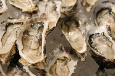 taze istiridye, buz deniz ürünleri