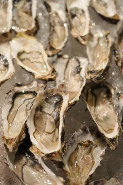 taze istiridye, buz deniz ürünleri