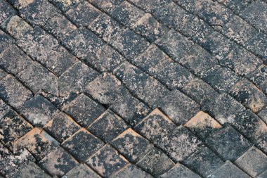 Grunge döşeme doku arka planı. güçlü kavramı