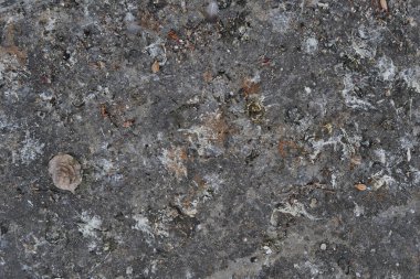 kirli, yıpranmış, grunge, koyu arka plan dokulu.