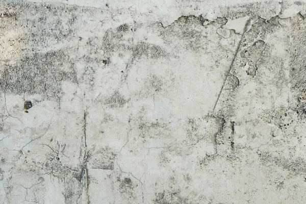 Grunge çimento duvar dokulu arka plan, gri tonu