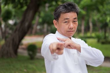 yaşlı adam Kung-Fu ya da tai chi parkta, sağlıklı yaşam pratik