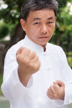 yaşlı adam Kung-Fu ya da tai chi parkta, sağlıklı yaşam pratik