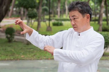 Kaplan pençesi stil Kung-Fu ya da tai chi pratik ciddi yaşlı adam